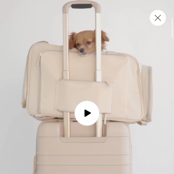 Beis The Regulation Carry On NWT - Picture 6 of 9